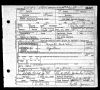 Death Certificate - Sallie Jane Patton Hickson