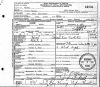 Julia Ann Hall Patton - Death Certificate
